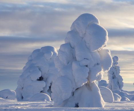 Das perfekte Wochenprogramm für jede und jeden