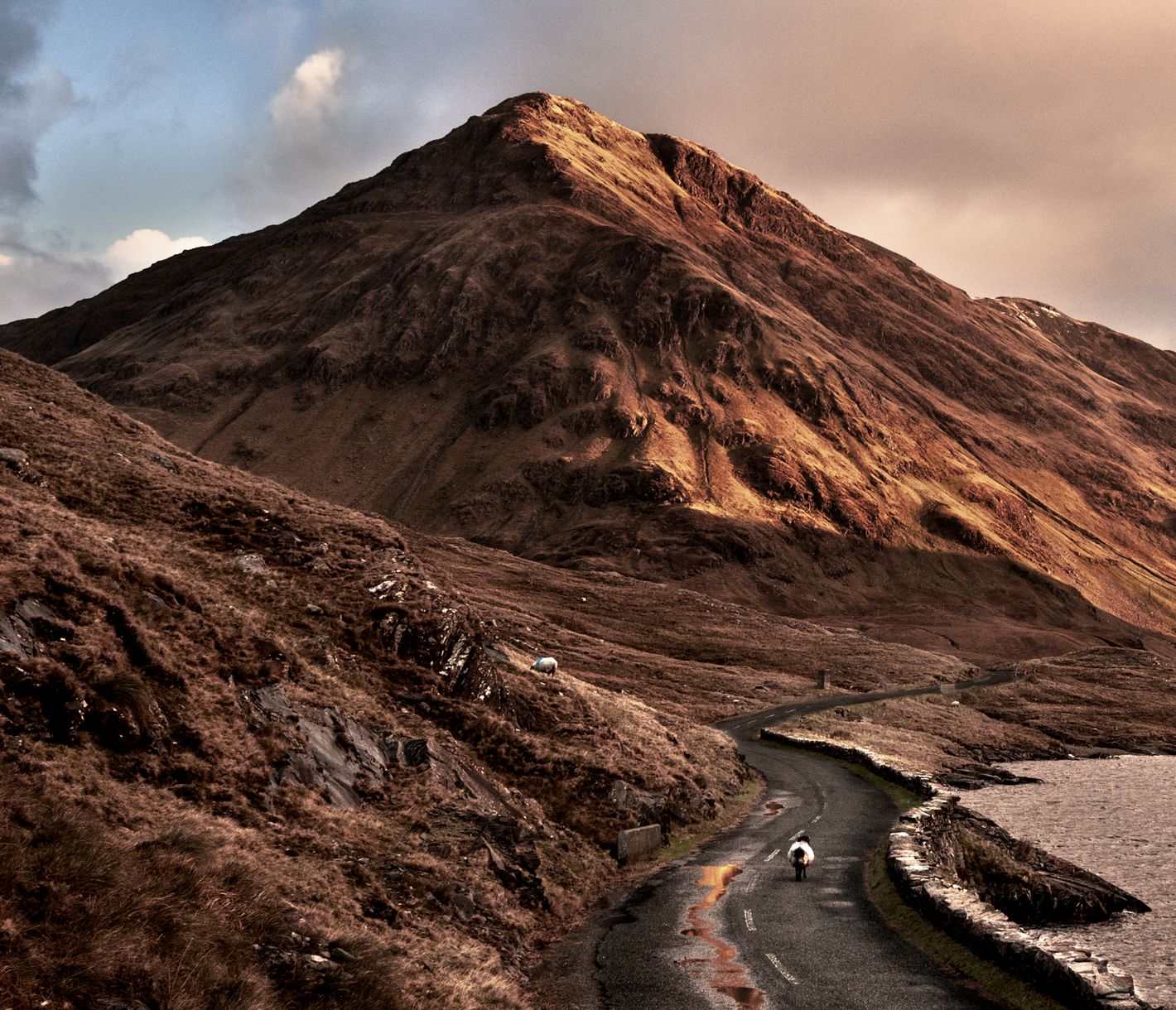 Vielseitiges Connemara