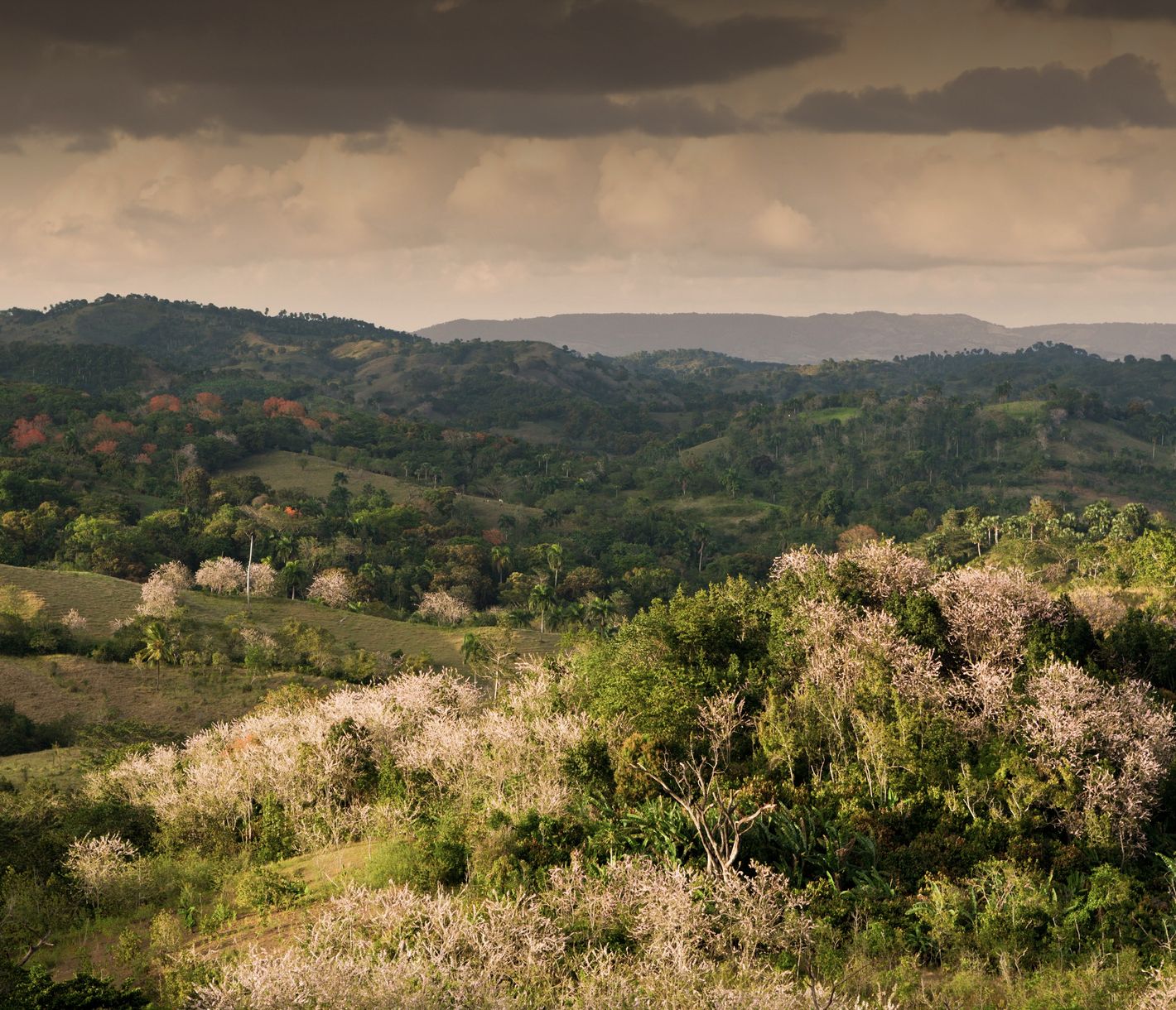 Draussen in der Natur