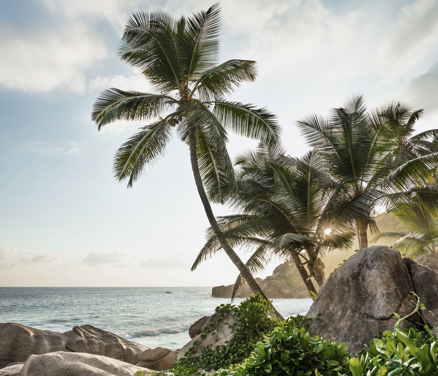 Die Sonne verschwindet hinter Palmen und Granitfelsen am Anse Intendance auf Mahé.