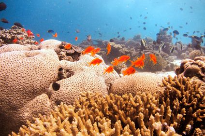 26. Bild der Unterkunft