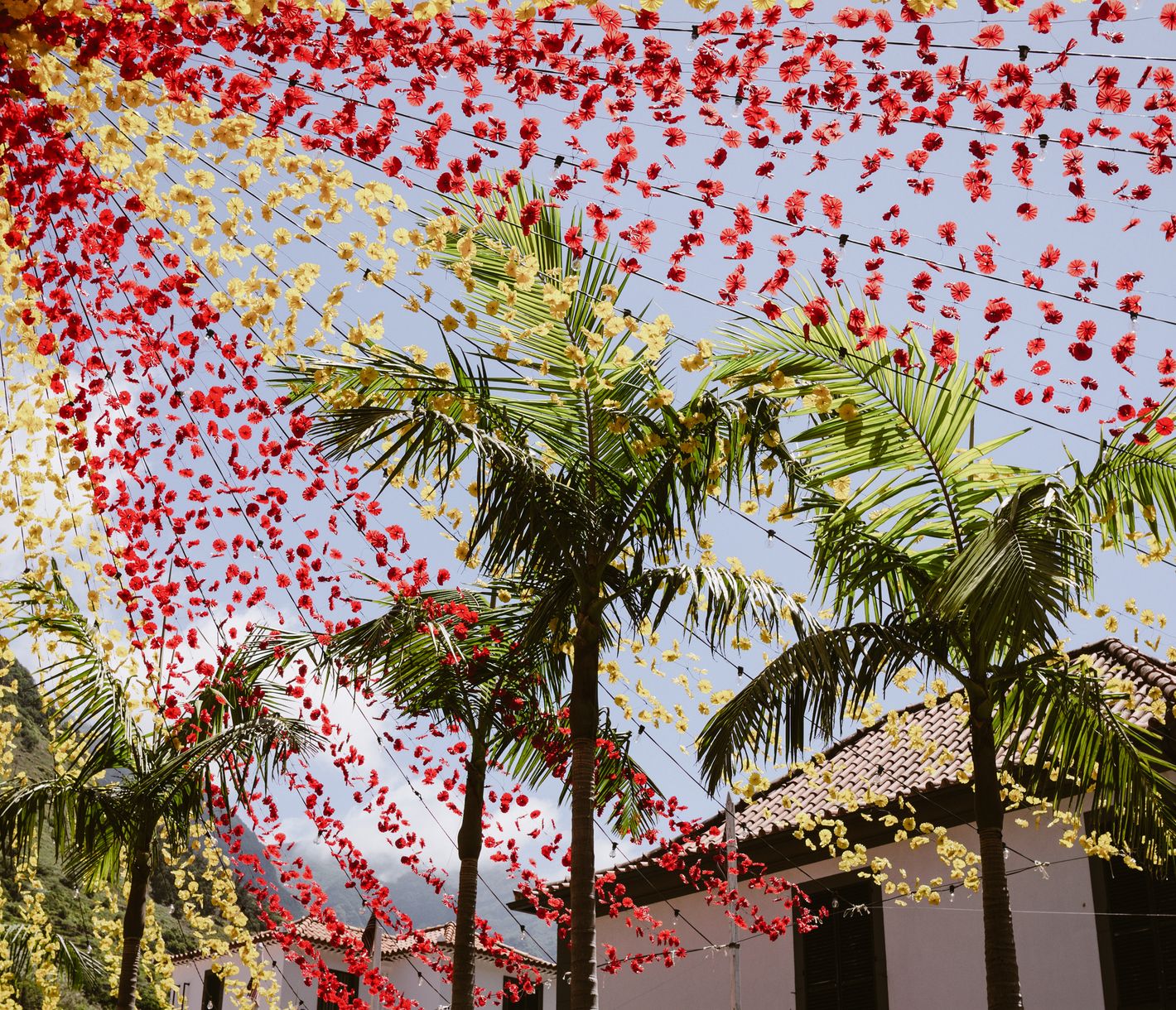Das Blumenfest auf Madeira