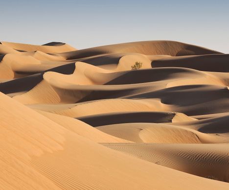 Endloses Wahiba in ganzer Pracht