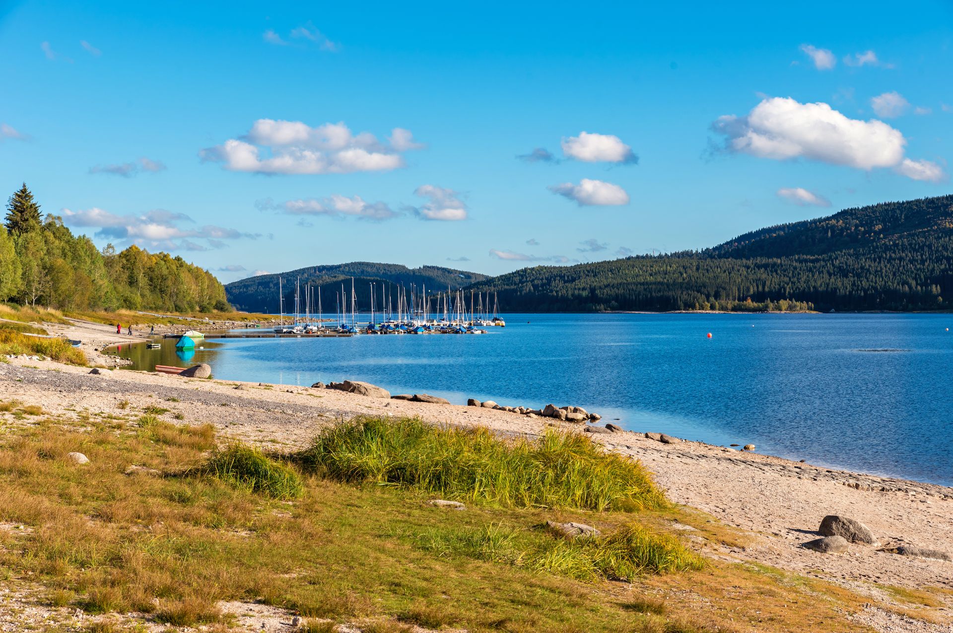 Ufer des Schluchsees