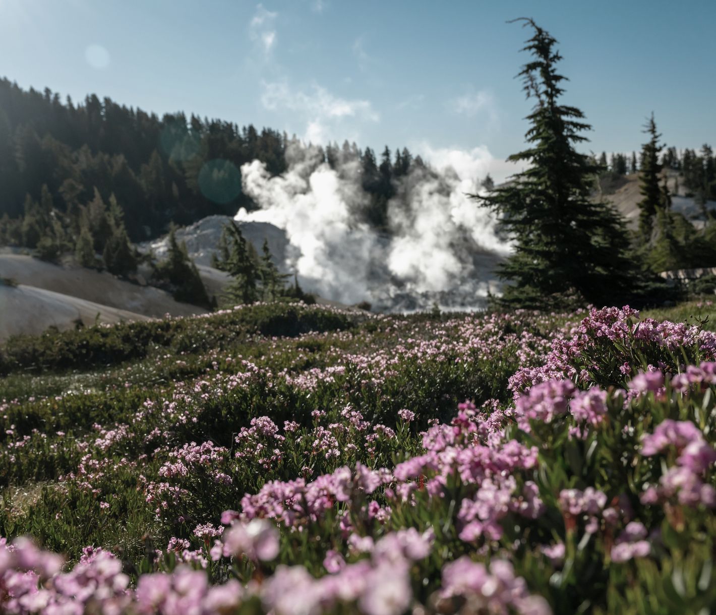 Dampfende Fumarolen im Lassen Volcanic Nationalpark