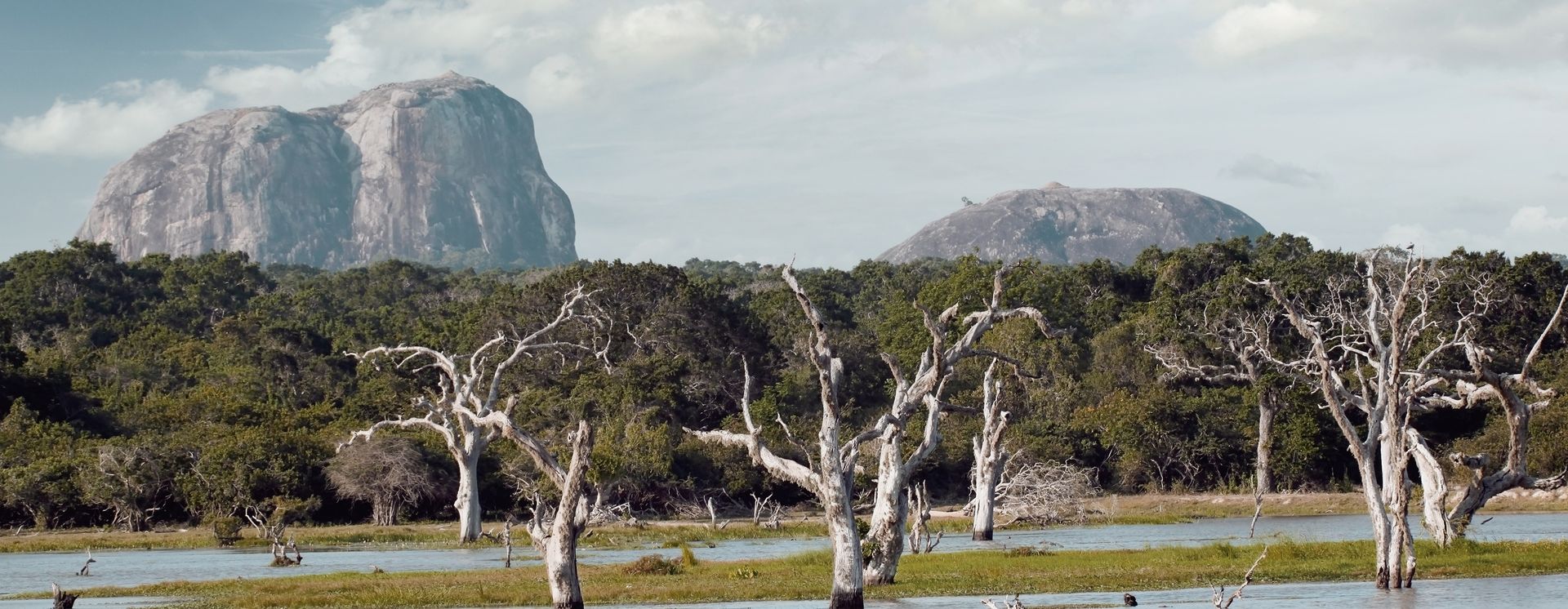 Côte orientale Sri Lanka