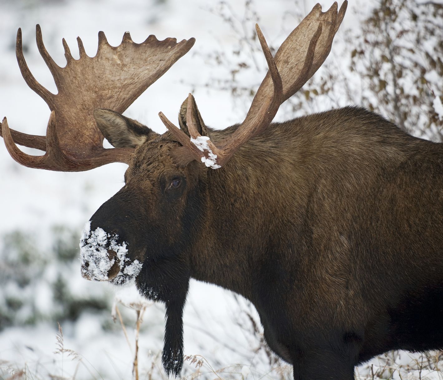 Auch im Winter gilt es stets, die Augen offen zu halten.