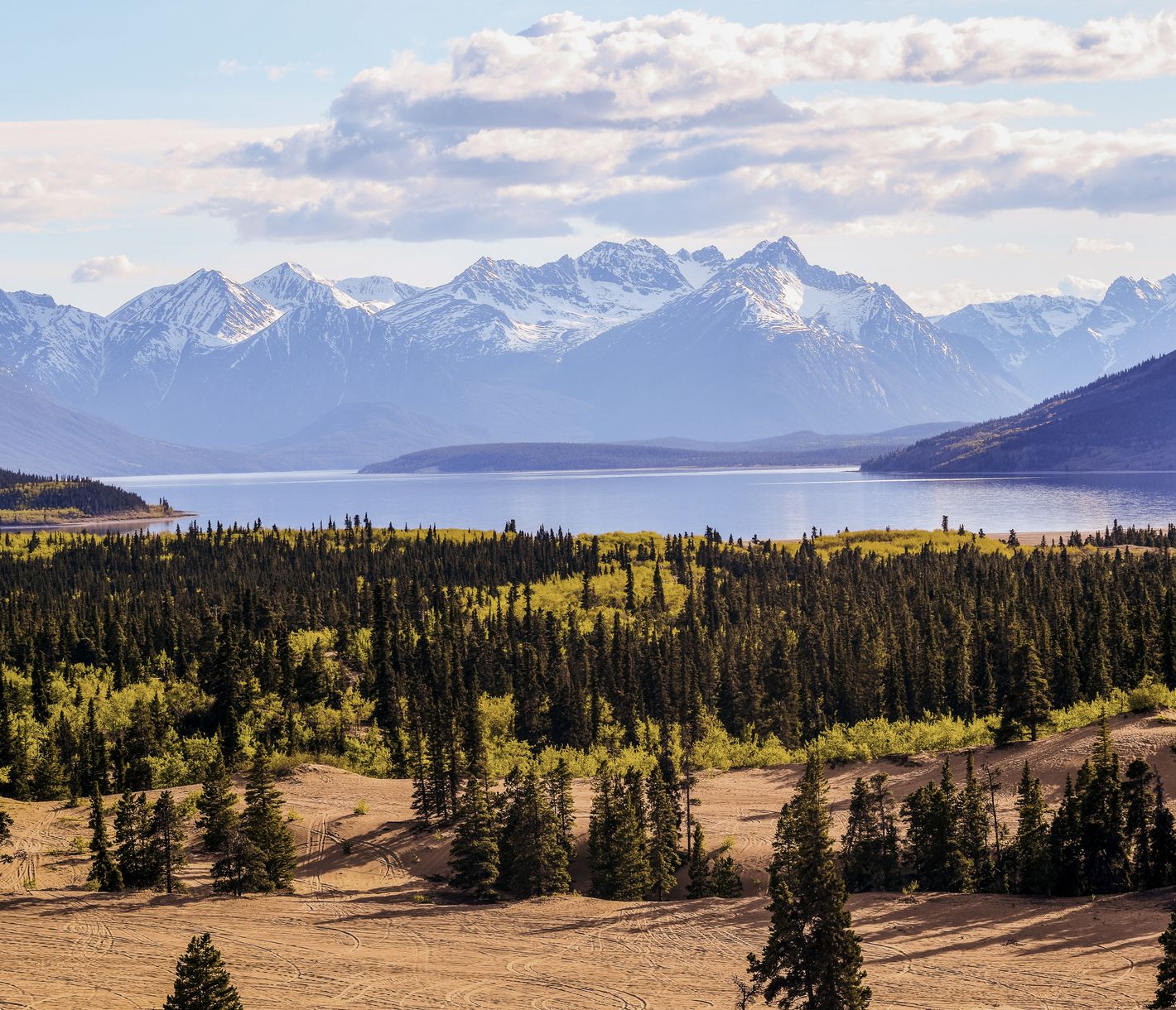 Die kleinste Wüste der Welt befindet sich im Yukon.