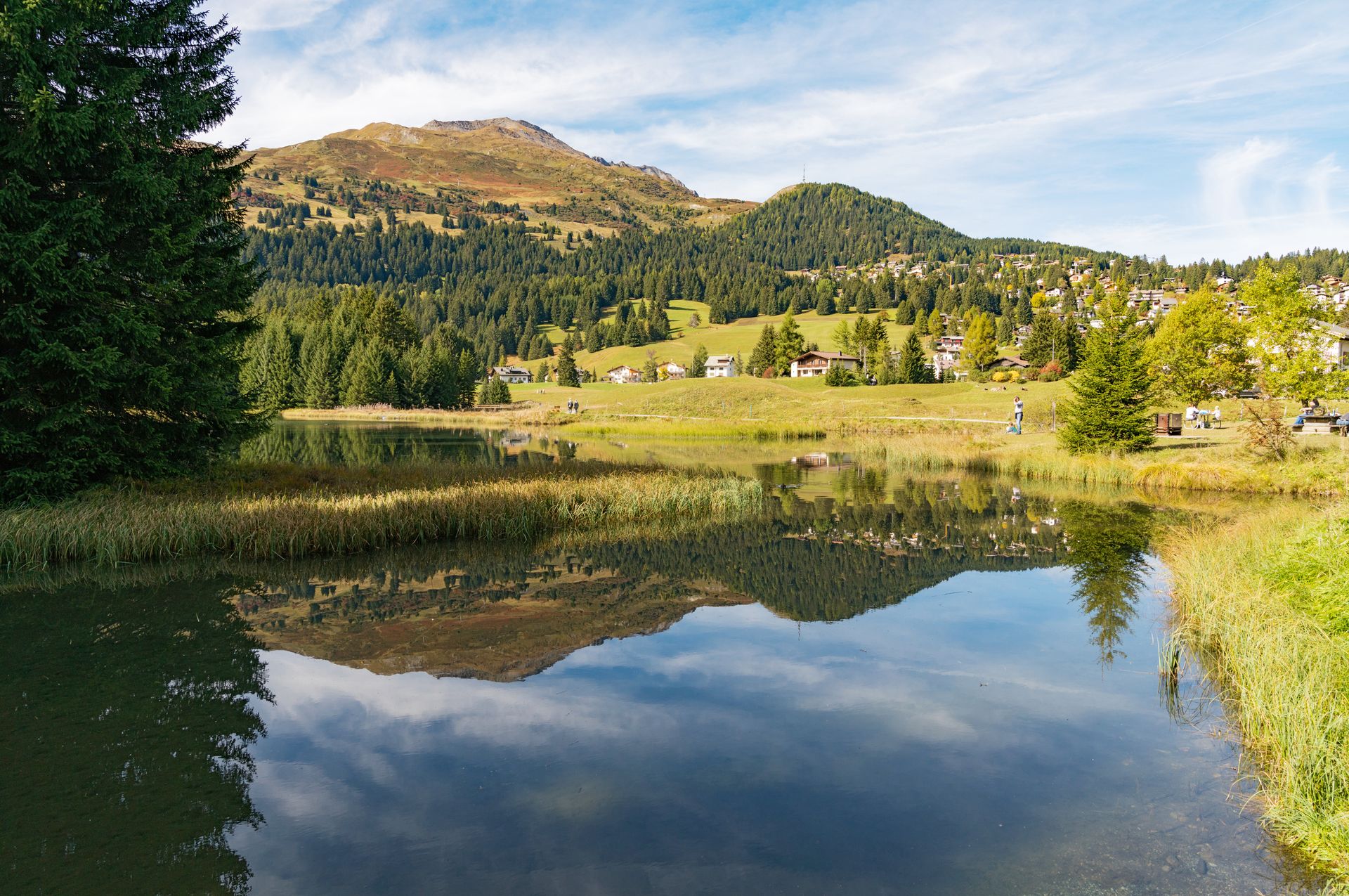 Heidsee im Sommer