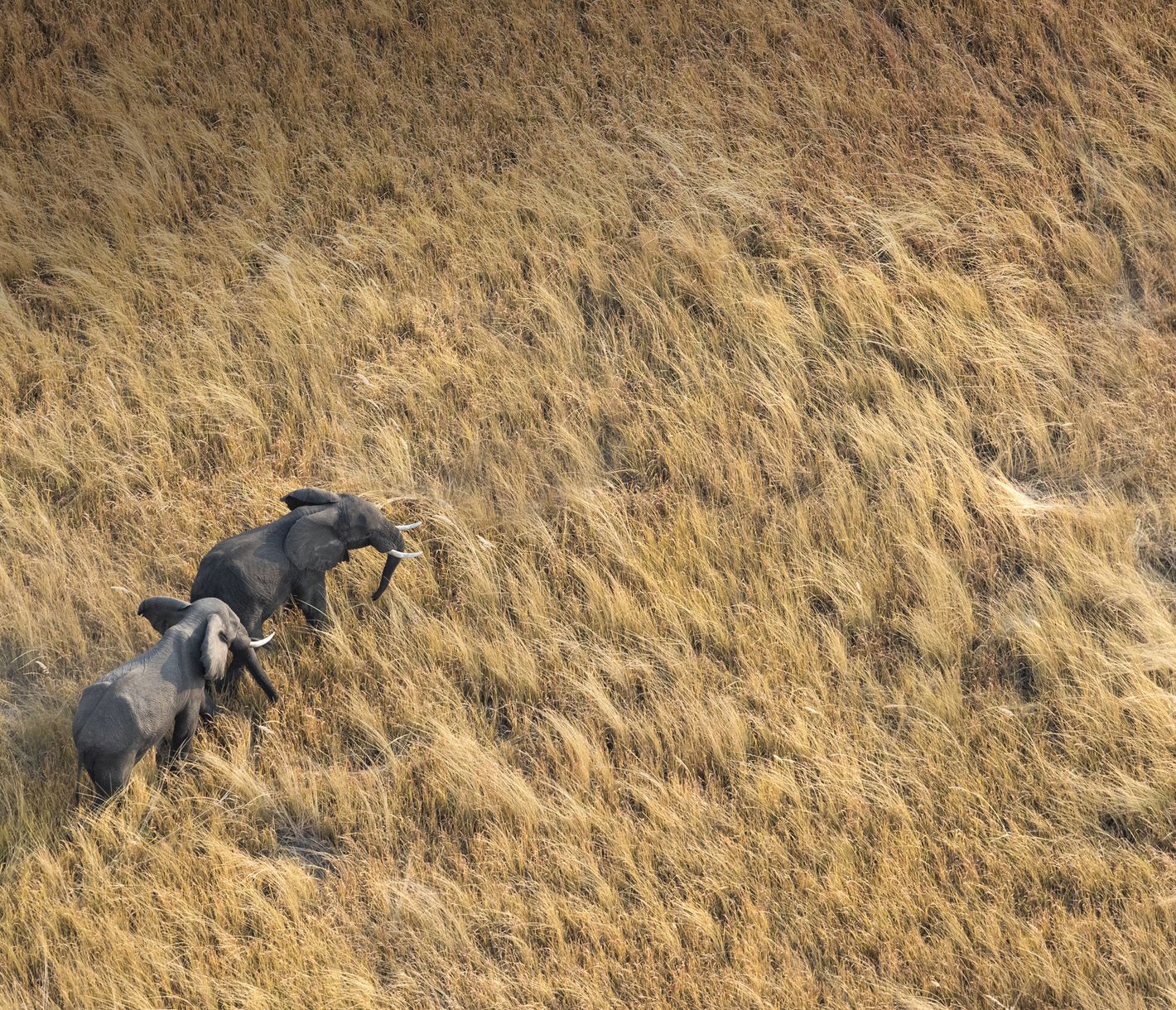 Garder ses distances!