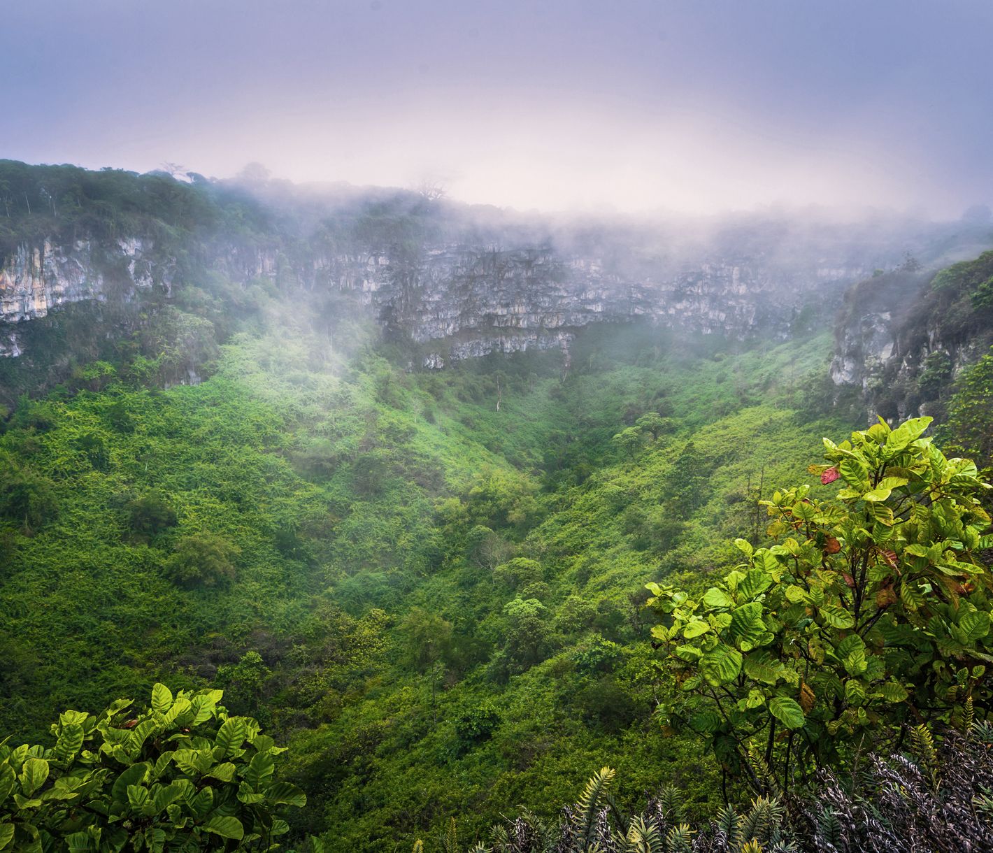 Im Hochland von Santa Cruz.