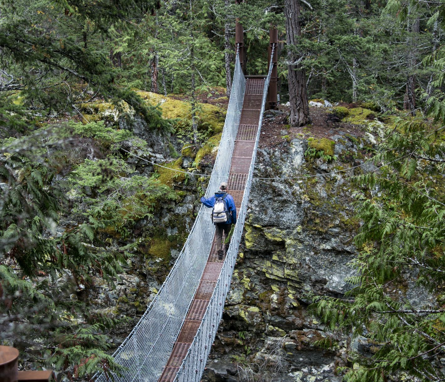 Zu Fuss durch den Great Bear Rainforest