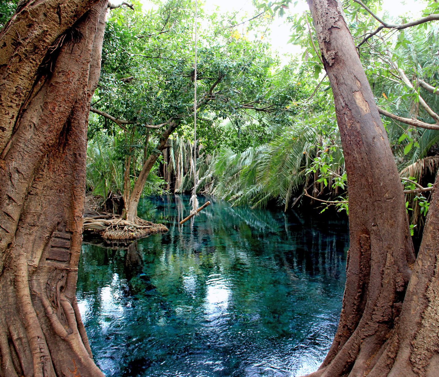 (Heisse) Quellen mit Wasser vom Kilimandscharo-Massiv in der Nähe von Moshi