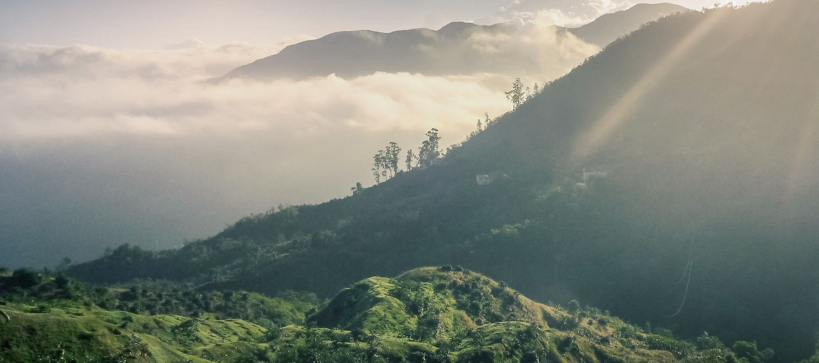 Die Blue Mountains sind nach ihrem blauen Morgendunstschleier benannt und die längste Bergkette Jamaikas