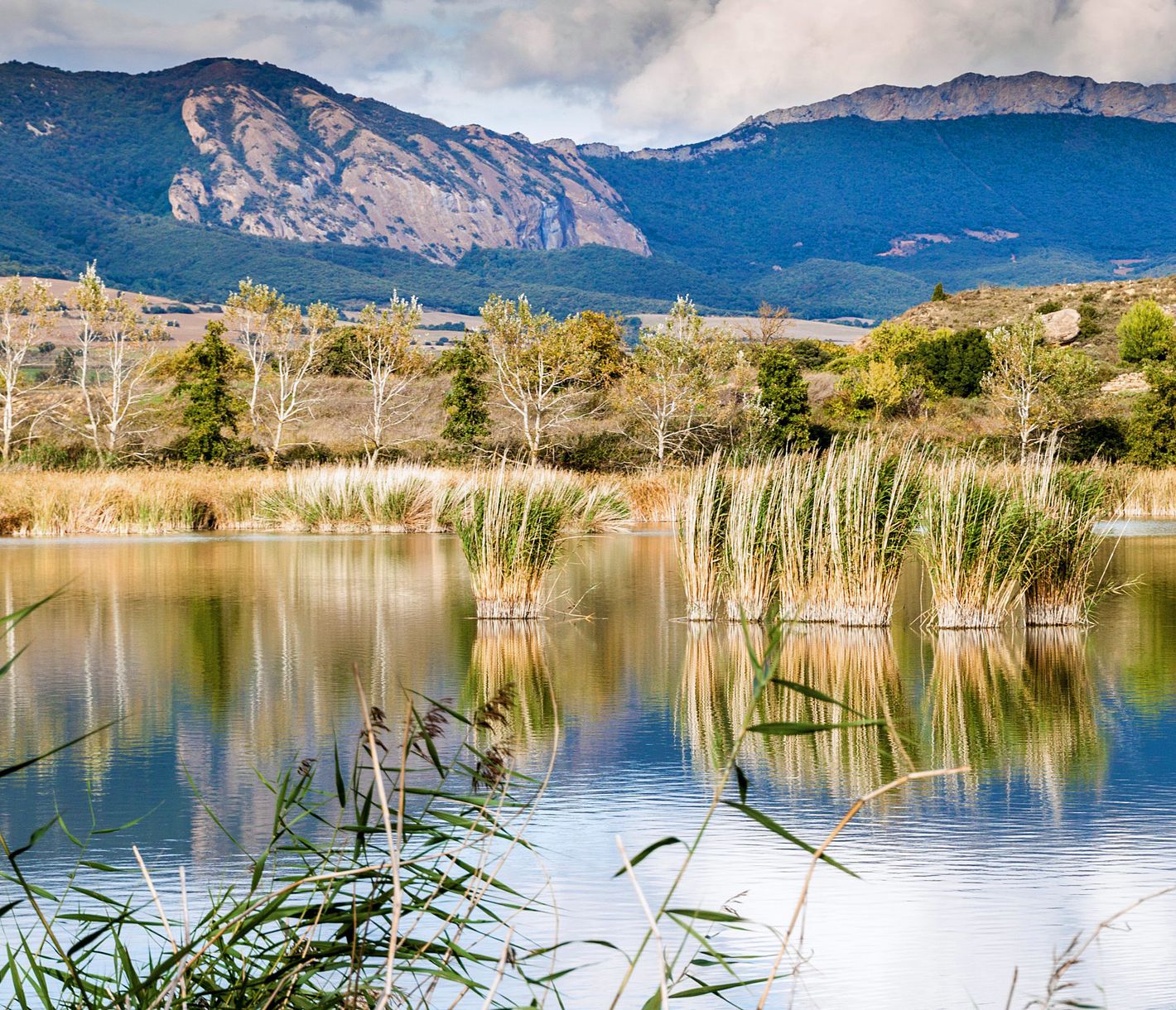 Entre vignobles, chaînes montagneuses et art de vivre espagnol