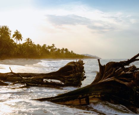 Wildromantischer Strand bei Palomino