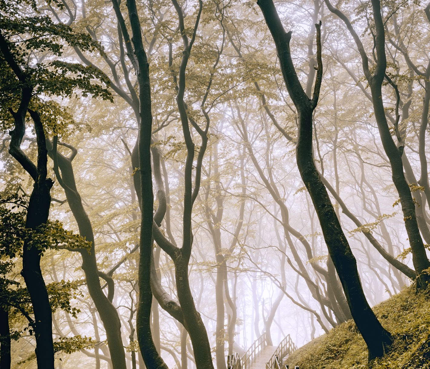 Eine Reise durch die Erdgeschichte