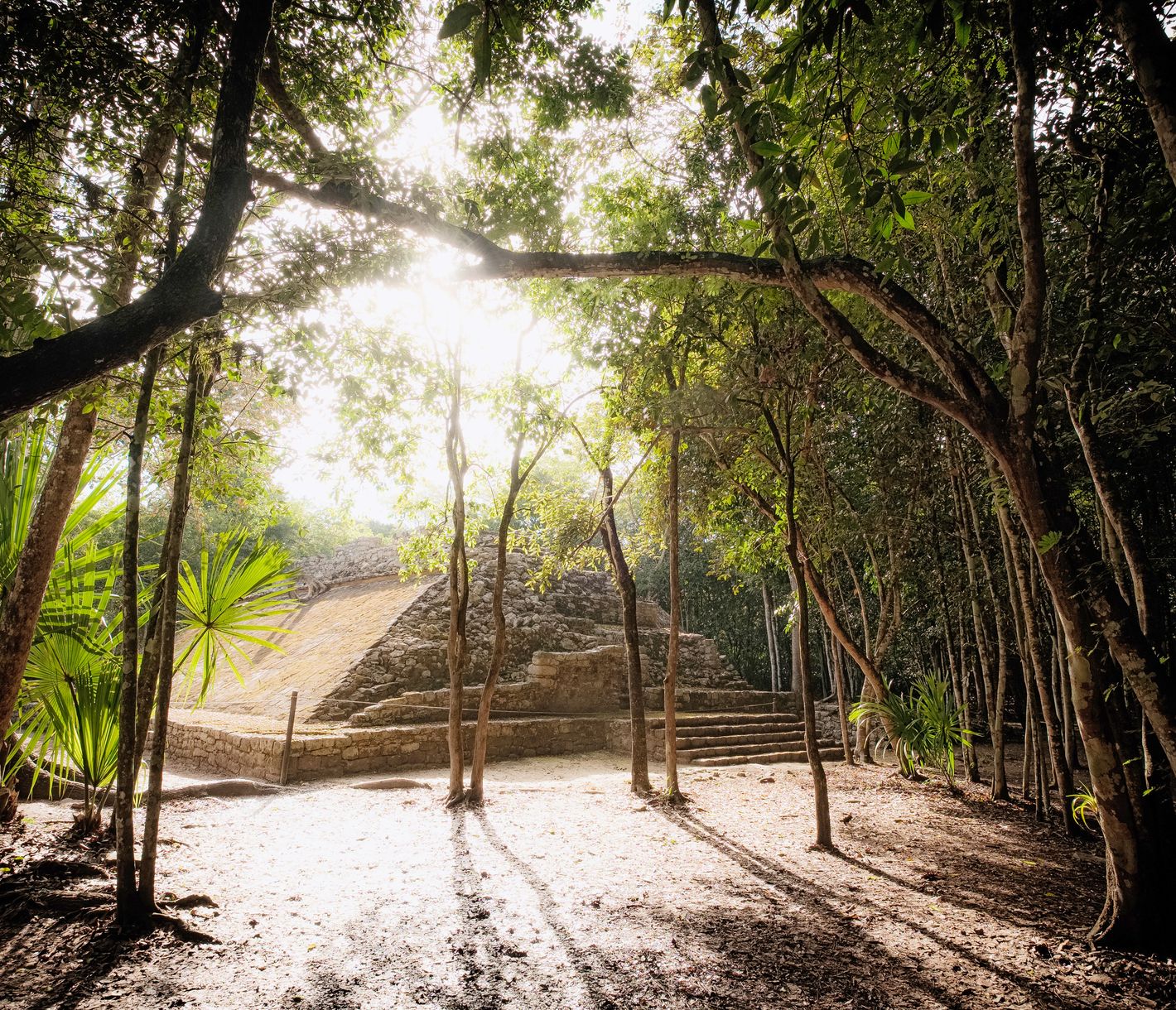 Coba, une impressionnante cité engloutie par la jungle, à découvrir en vélo