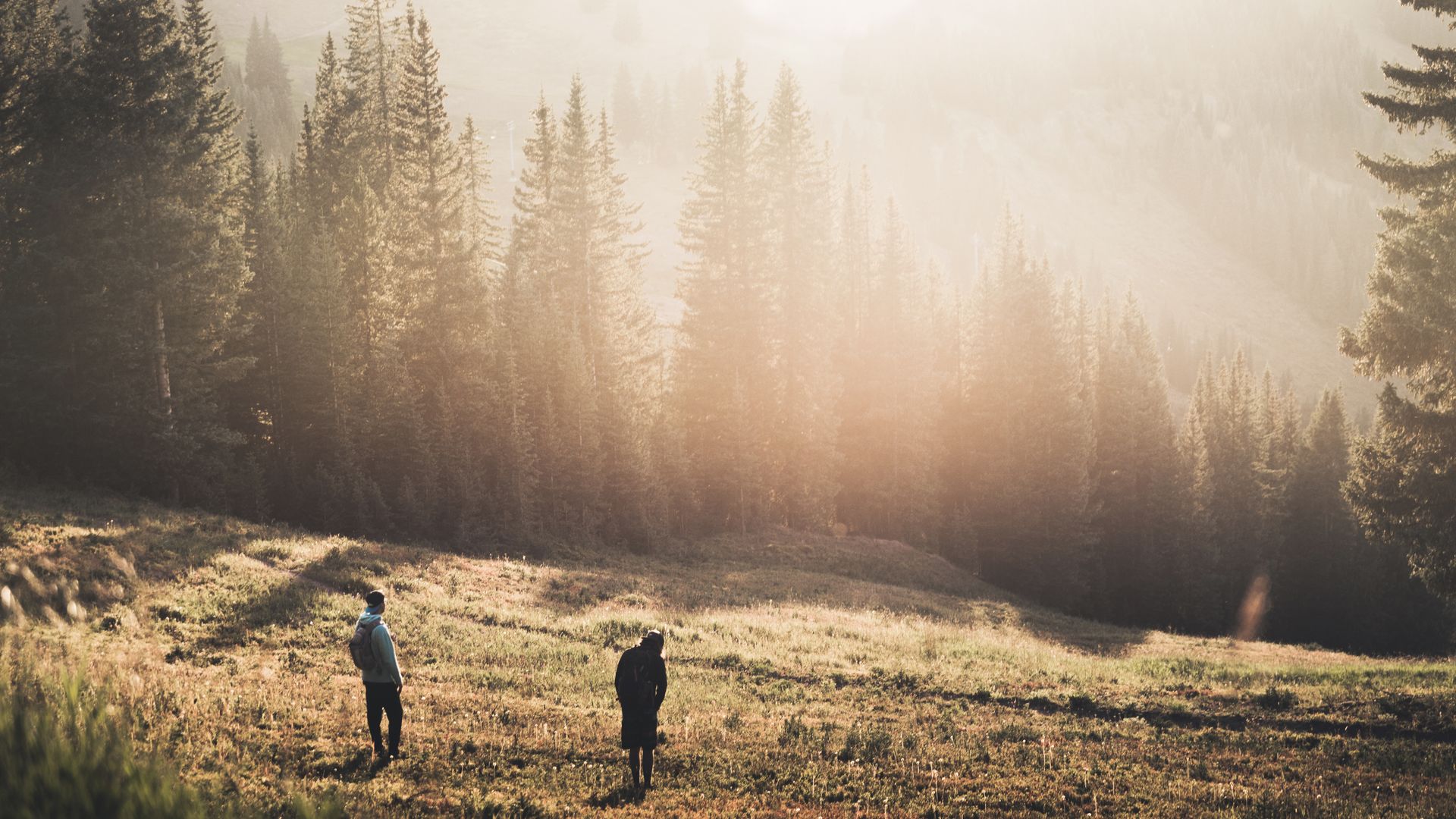 La région montagneuse mondialement connue de Vail, dans les Rocheuses, mérite aussi un arrêt en été.