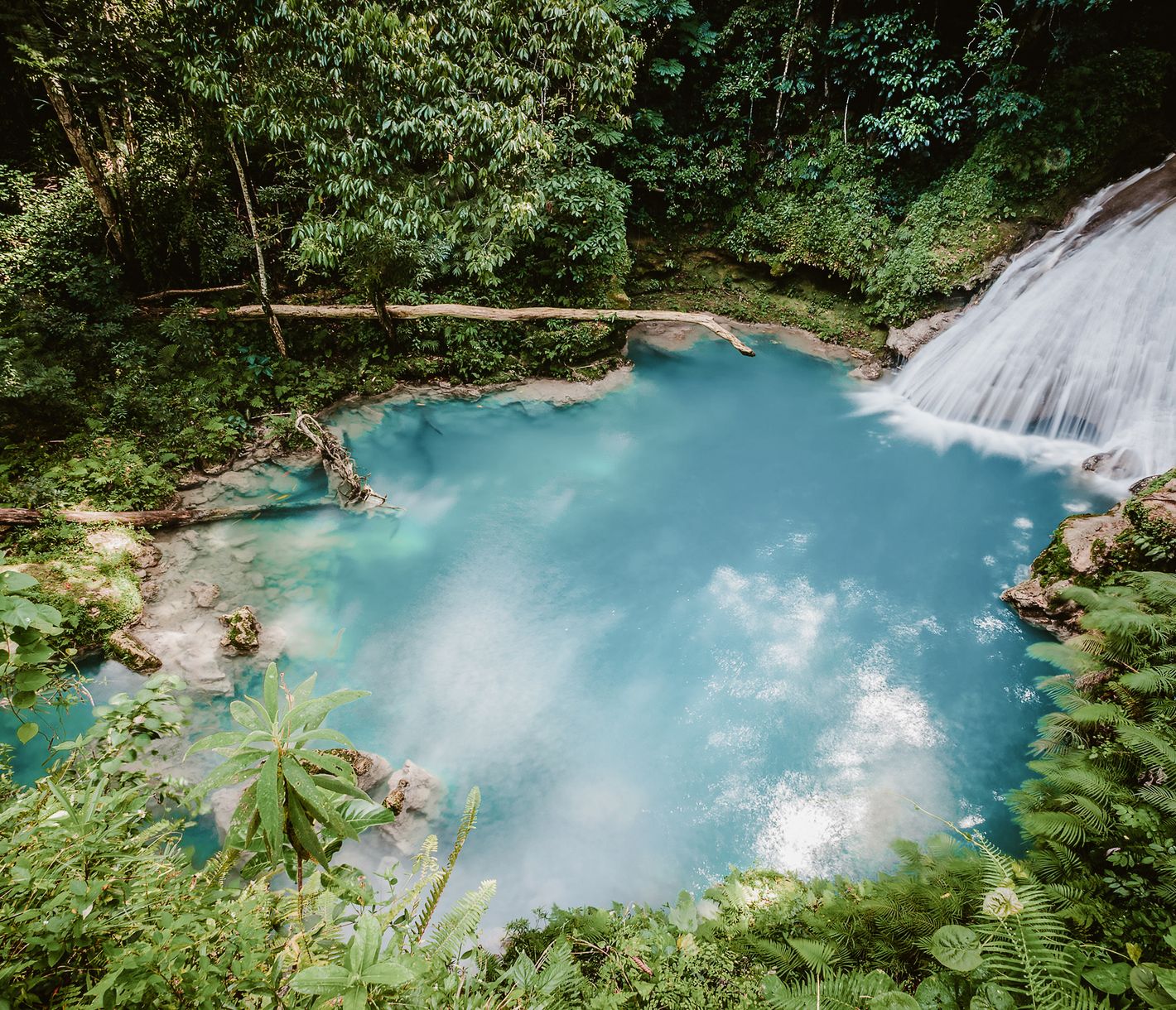 Bereit für den Sprung ins kühle Wasser mitten im Dschungel?