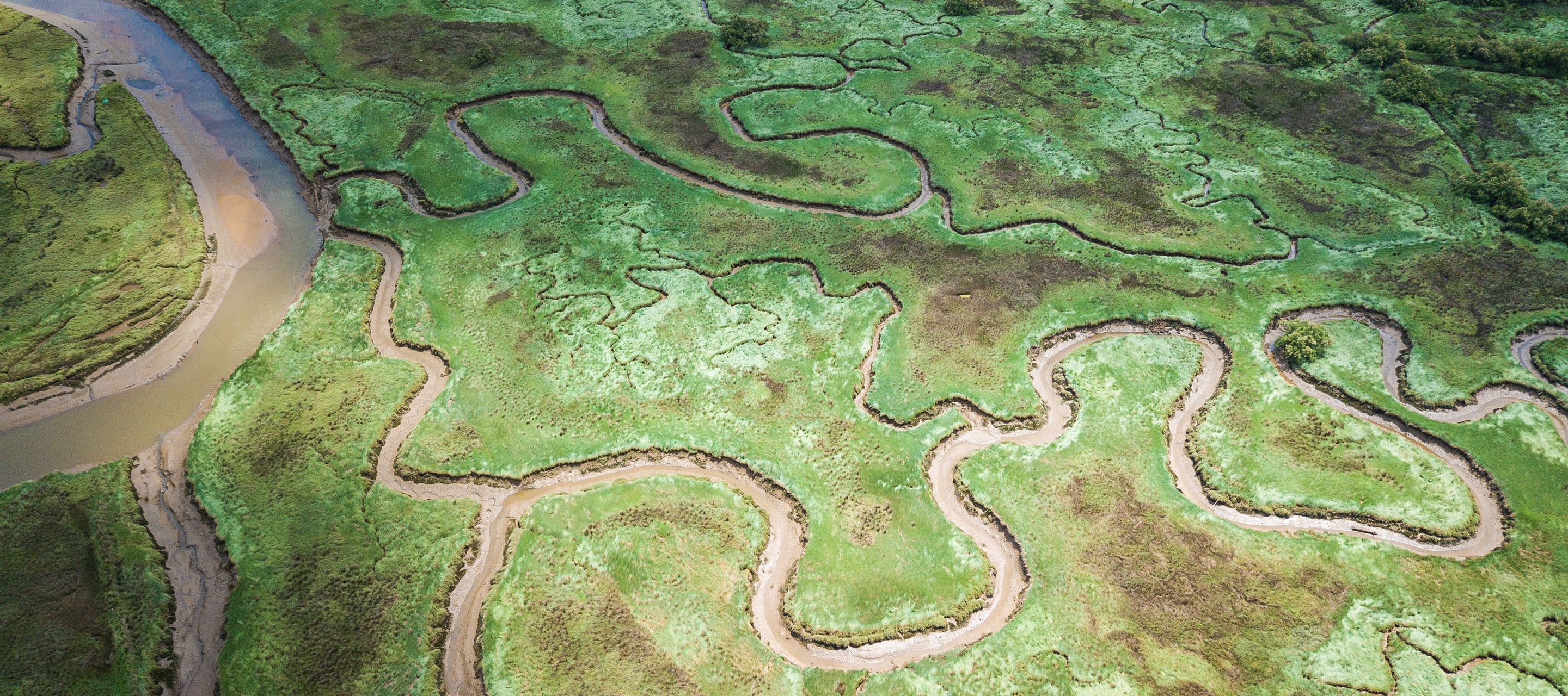 Ein Teil des tropischen Marschlands ist als Nationalpark geschützt.