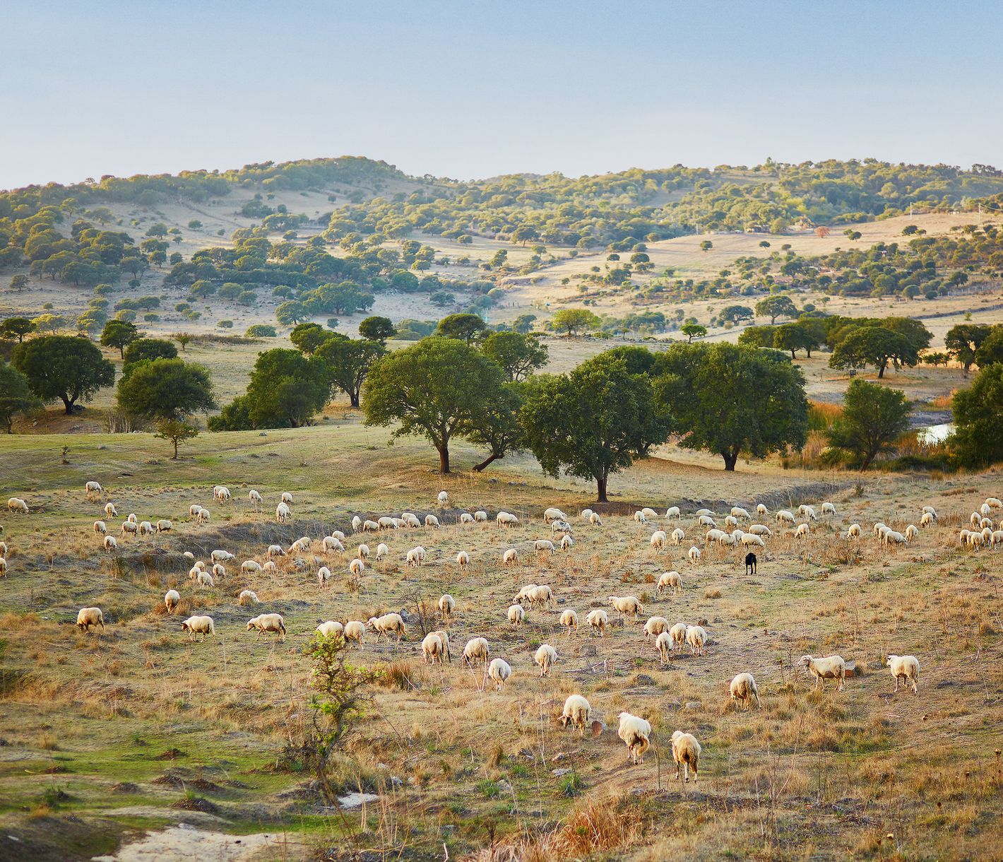 Sardinien wie auf der Postkarte