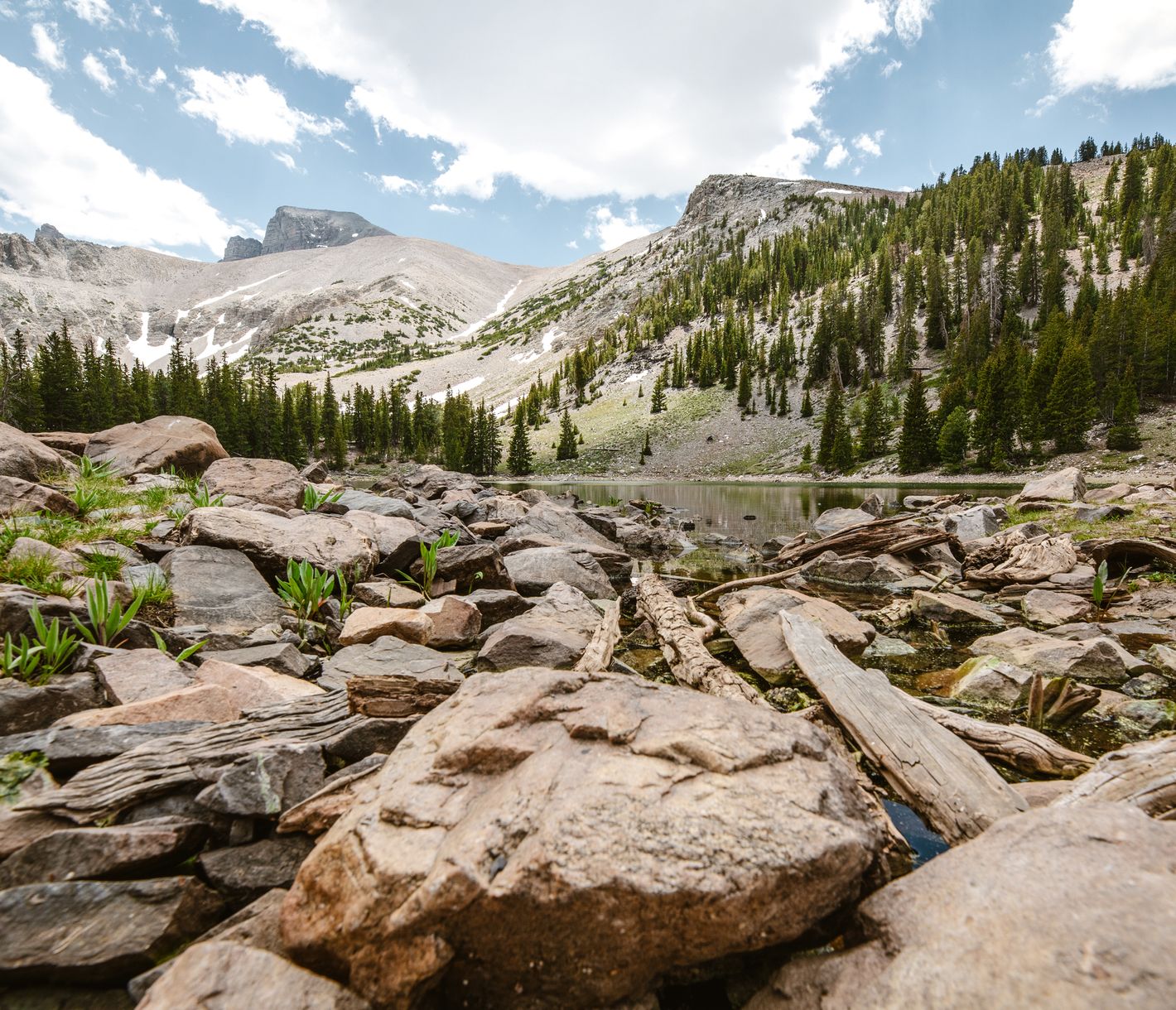 Eindrückliche Naturkulisse im Great Basin N.P.