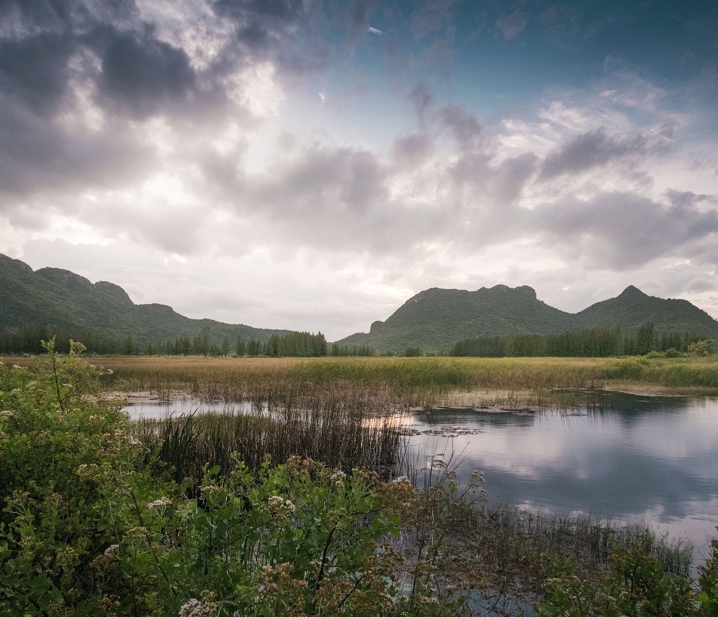 Der Samroi-Yot-Nationalpark ist der erste Nationalpark Thailands.