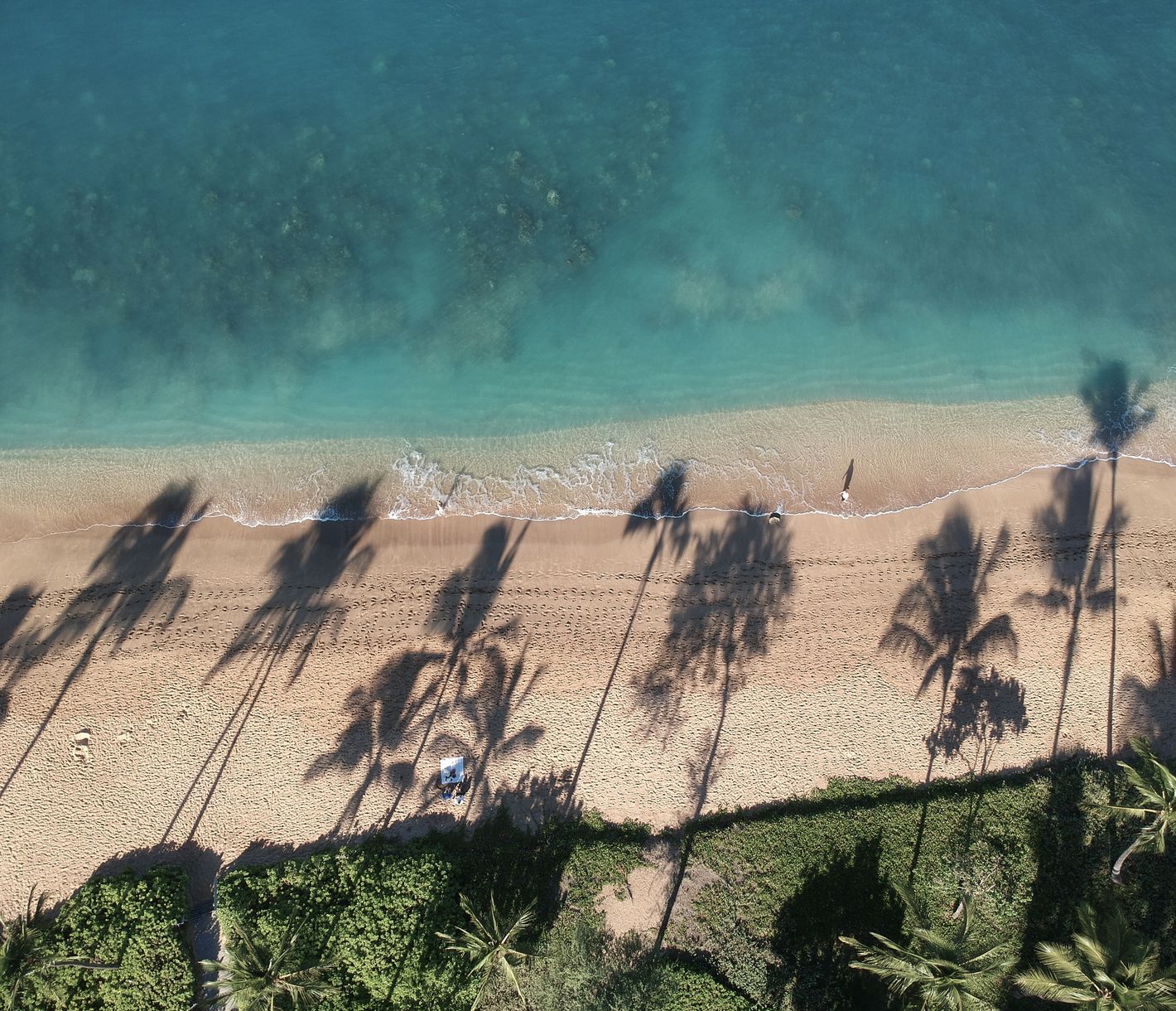 Der Kaanapali Beach auf Maui besticht durch seinen feinen, goldenen Sand und die ruhige Brandung.