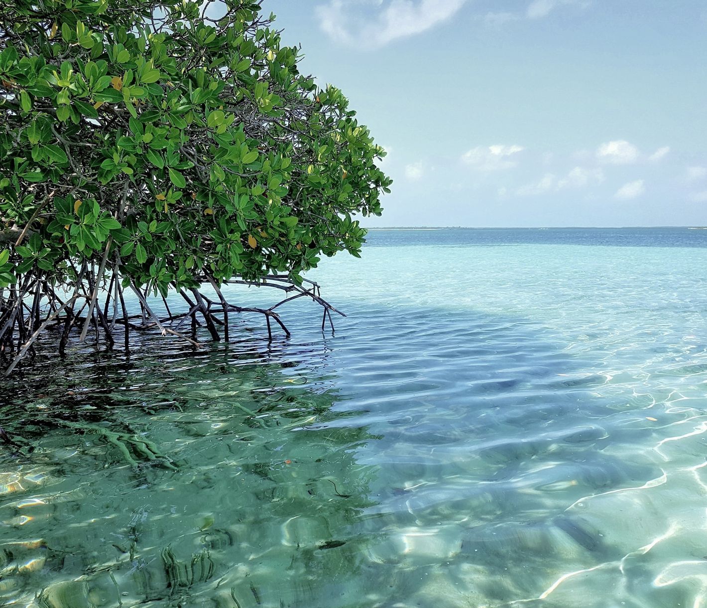 Auszeit am weissen Sandstrand
