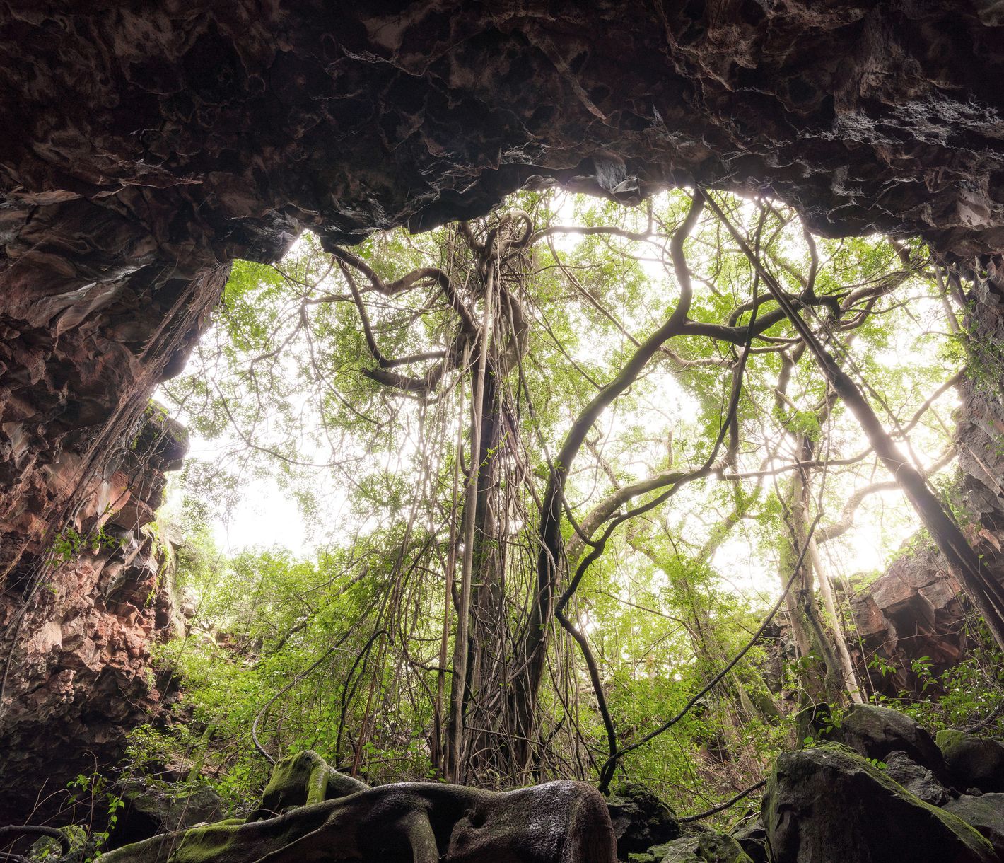 Ein etwas anderer Tunnel