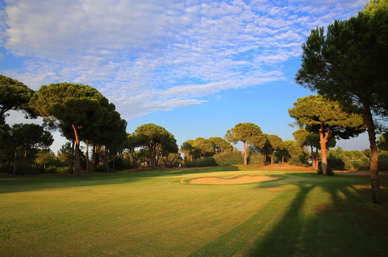 Golfplatz