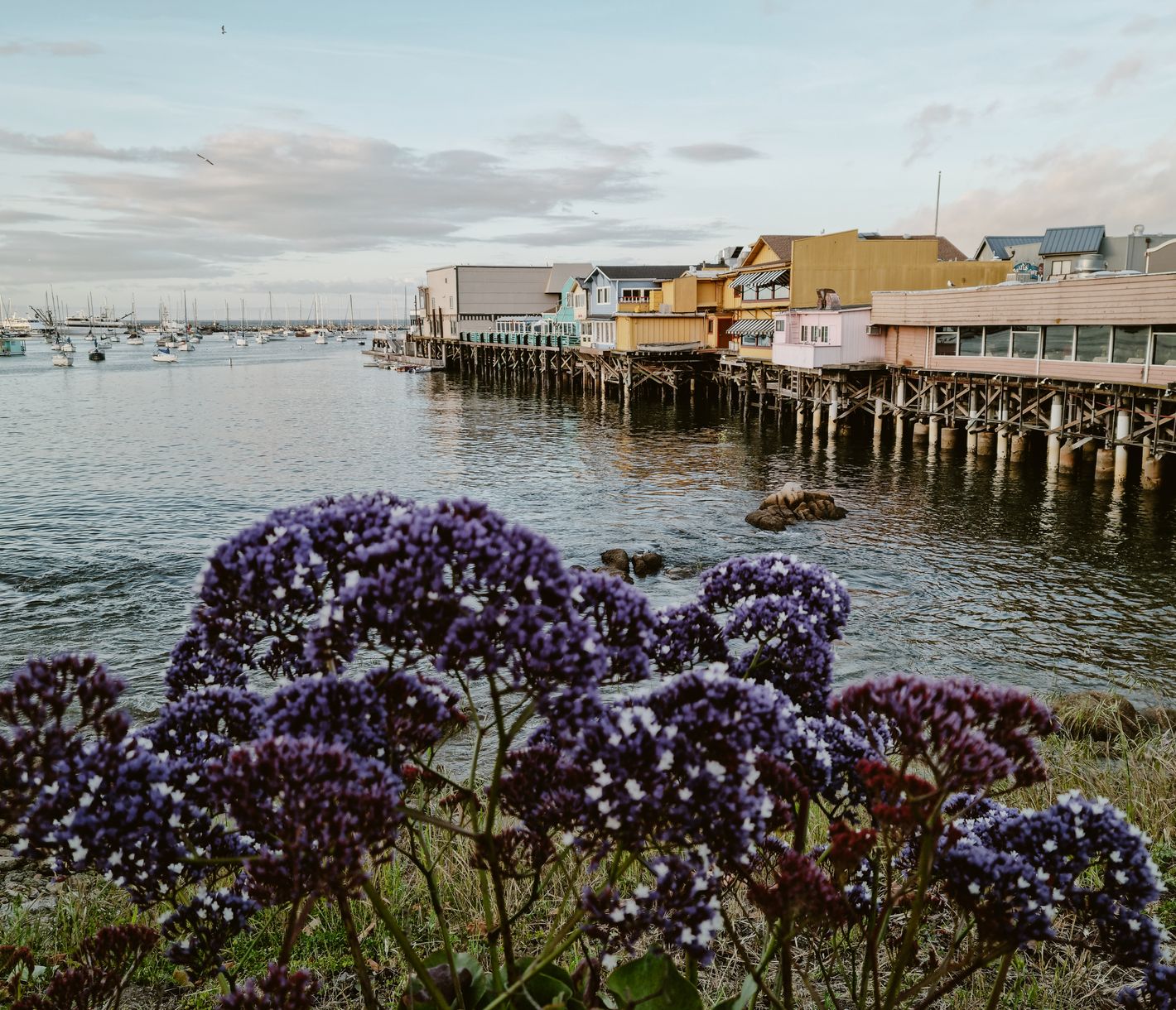 Nicht nur San Francisco, auch Monterey hat eine Fisherman's Wharf.