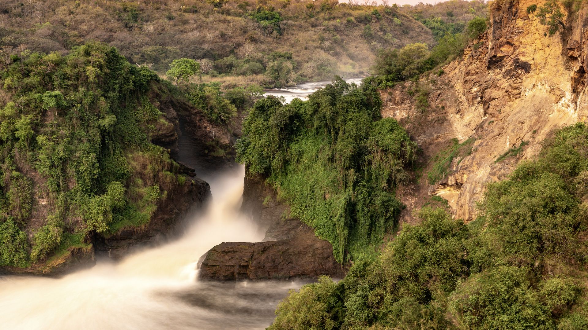 Le plus grand parc de l’Ouganda est connu pour ses belles girafes Rothschild, ses éléphants et ses paysages fabuleux.