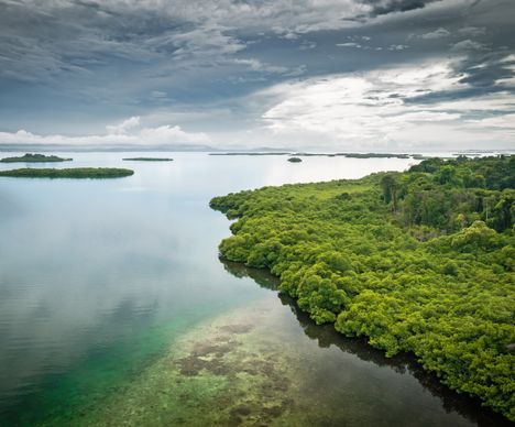 Isla Bastimentos – im Einklang mit der Natur
