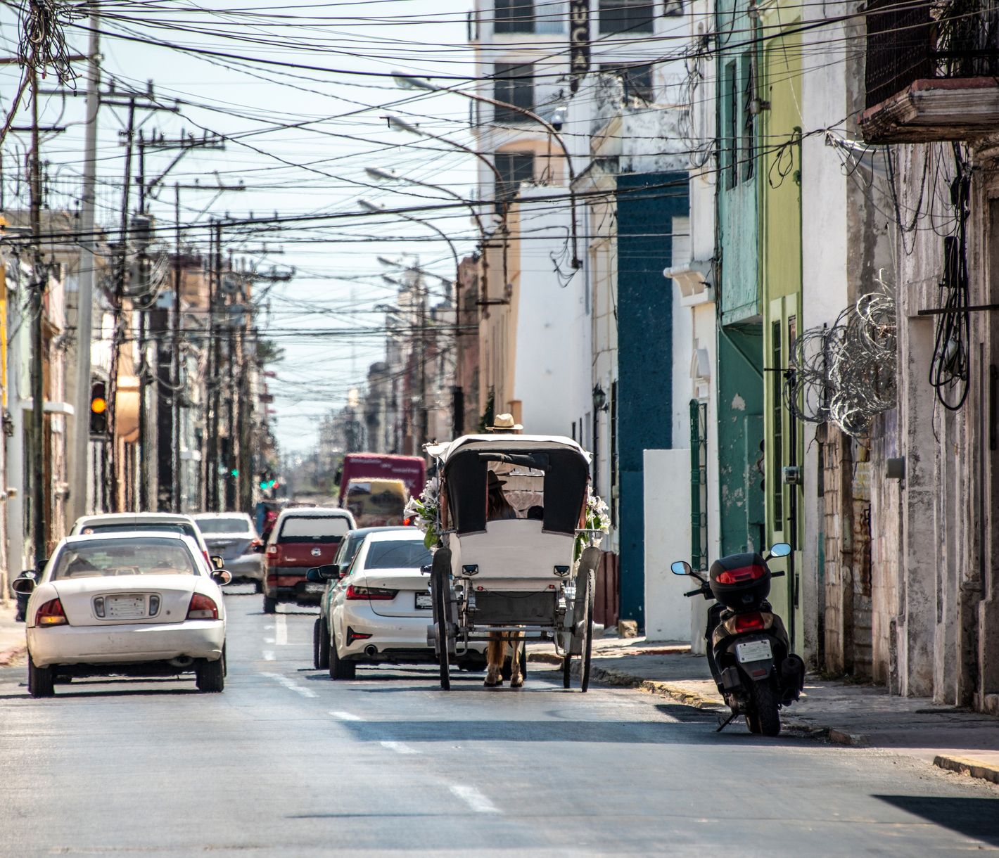 Laut, farbig, lebendig