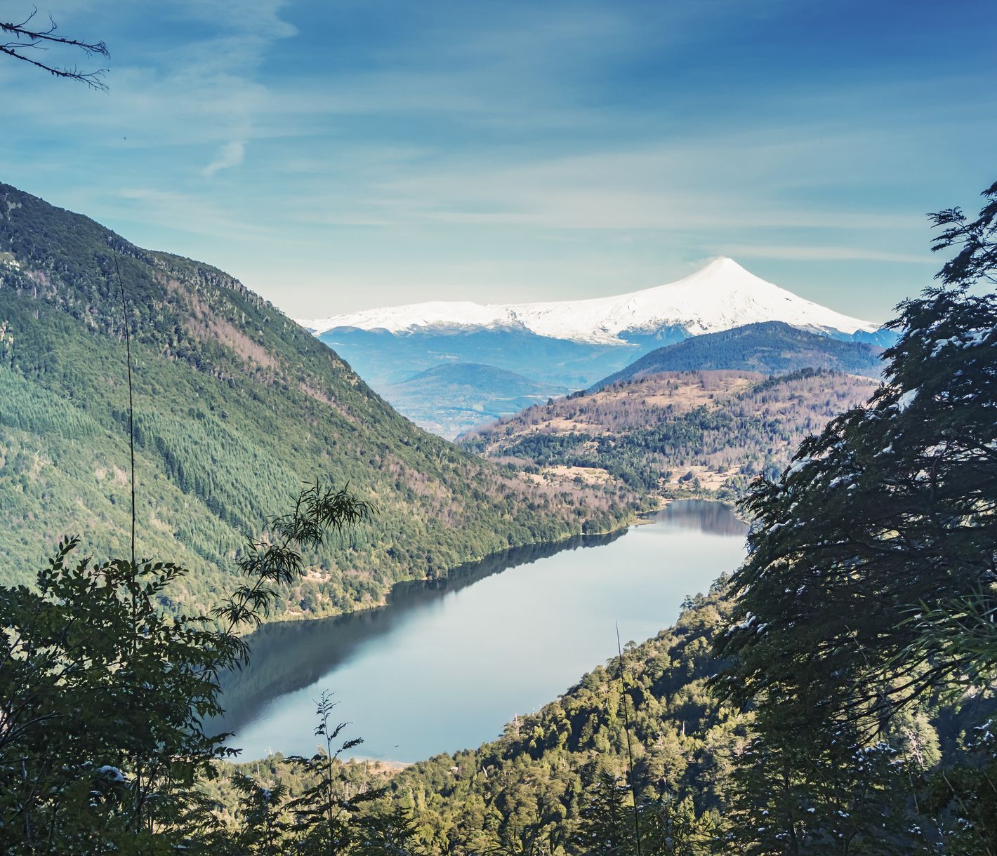 Eindrucksvolle Urwälder im Huerquehue Nationalpark