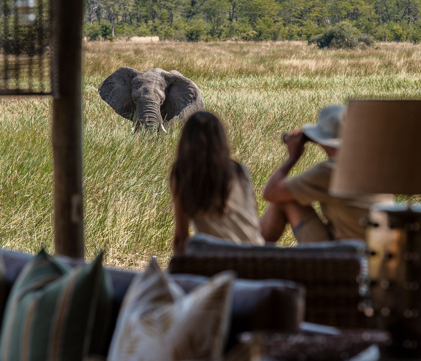 Elefanten können direkt von der Lodge aus beobachtet werden