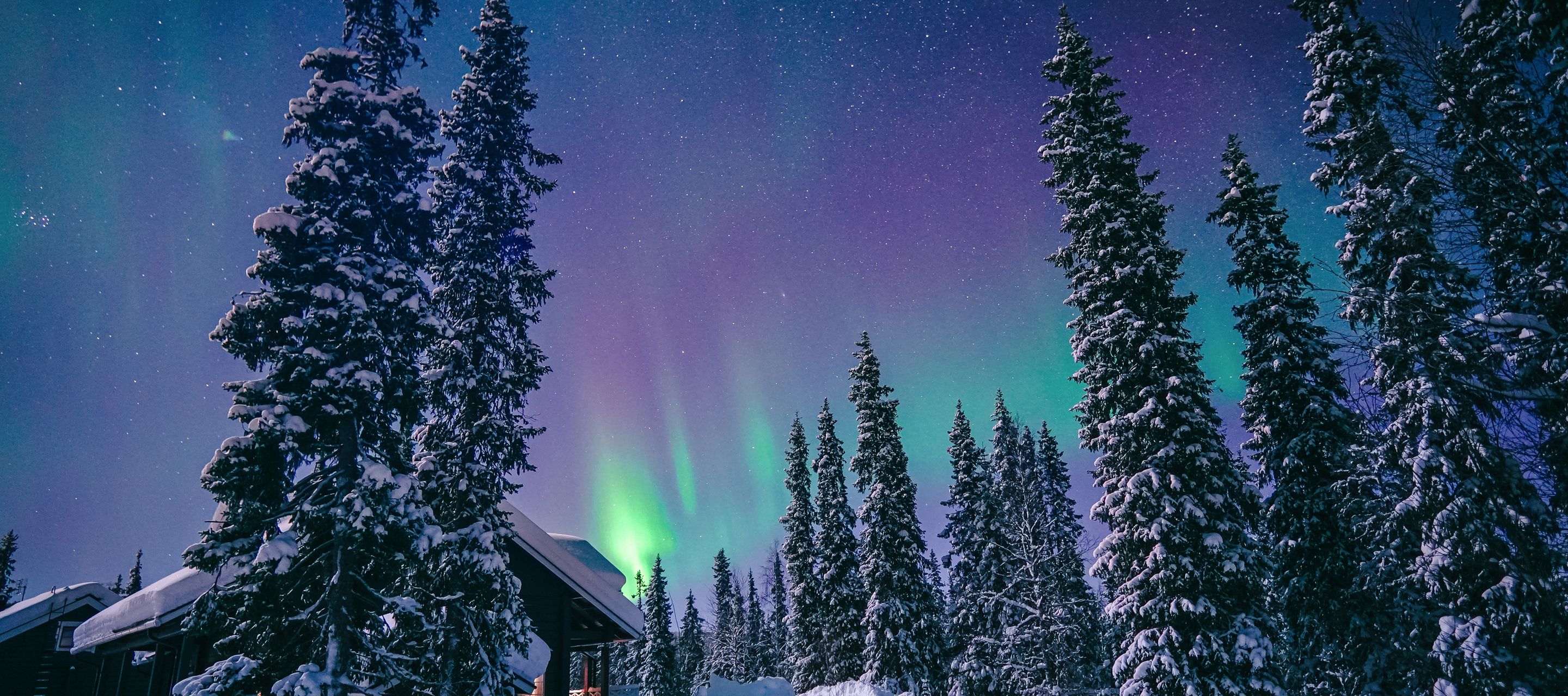 Nordlichter direkt vor Ihrer Unterkunft!
