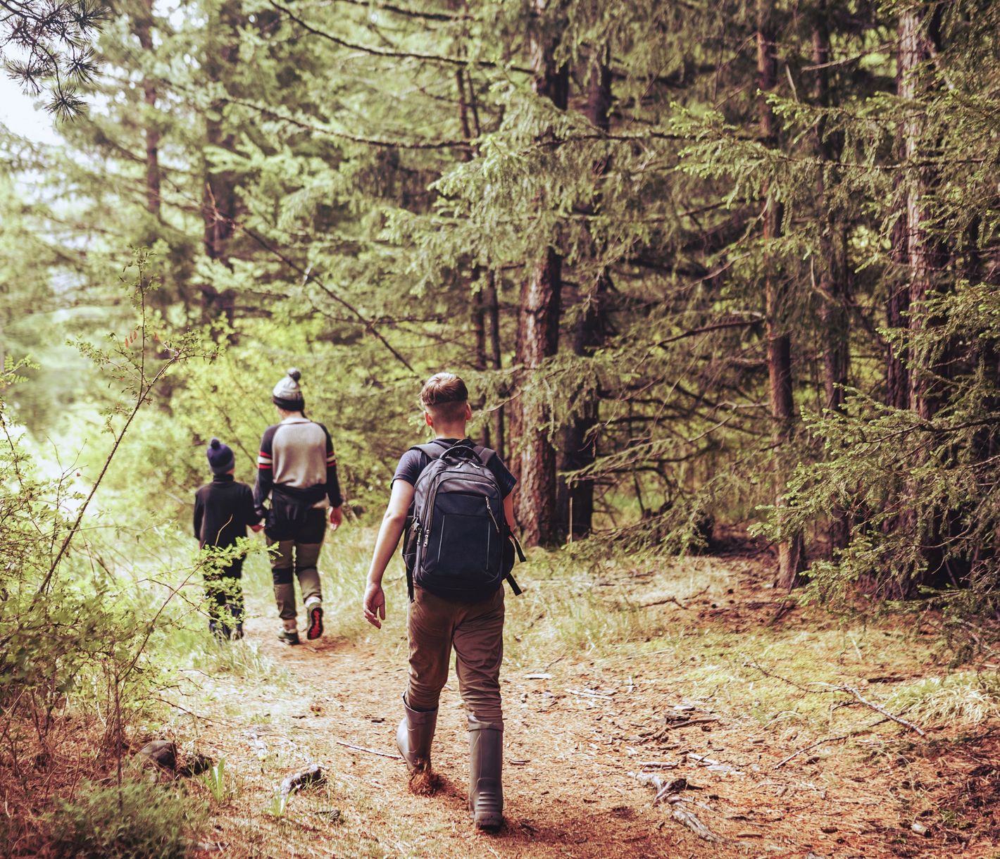 Verschiedene Nationalparks in der Nähe