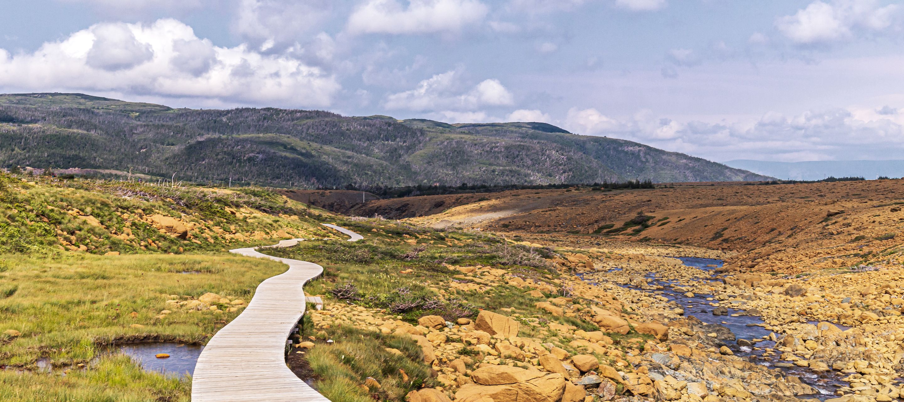 Tablelands dans le Parc National de Gros Morne.