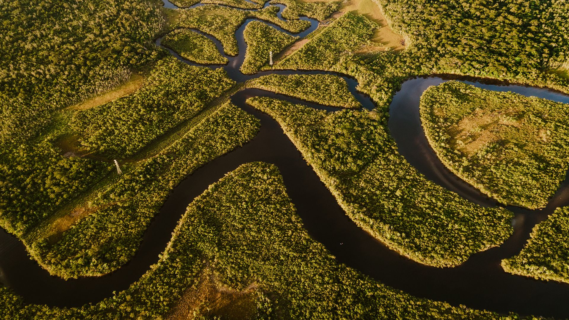 Une merveille vue du ciel : l'Amazonie !