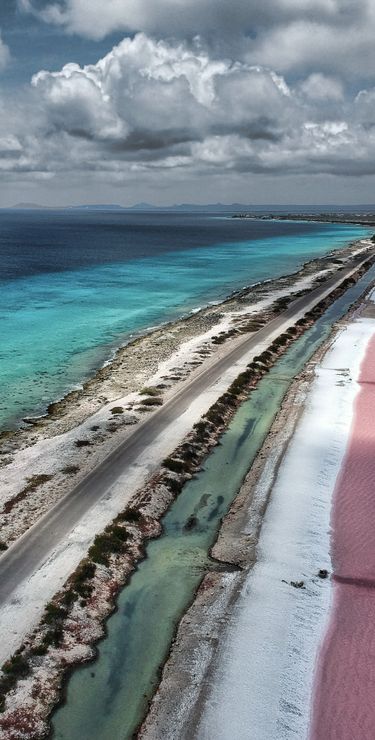 Bonaire Reisen