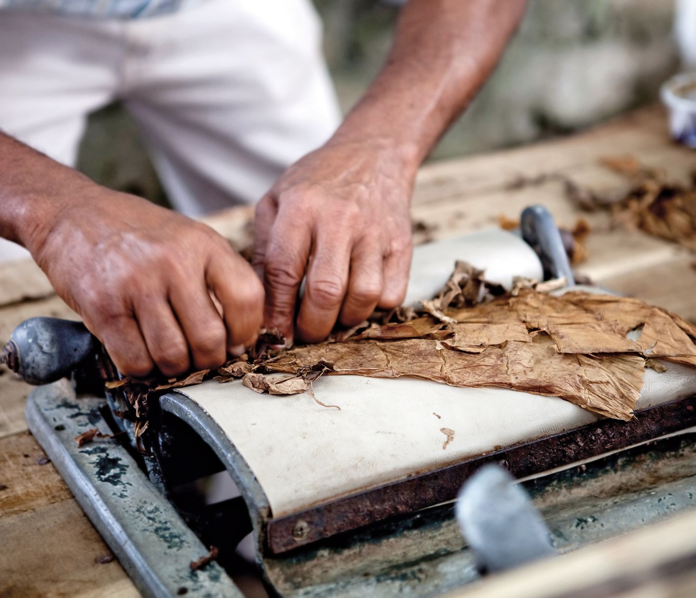 Zigarre rollen: üben, üben, üben!