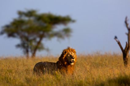 10. Bild der Rundreise