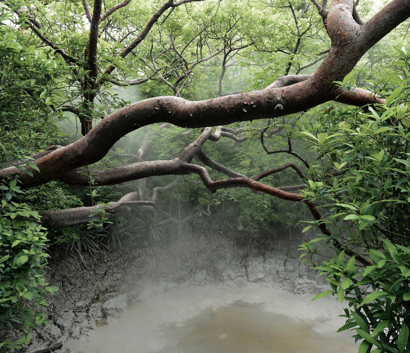 Ein natürliches Spa unter freiem Himmel – der Nationalpark Rincon de la Vieja
