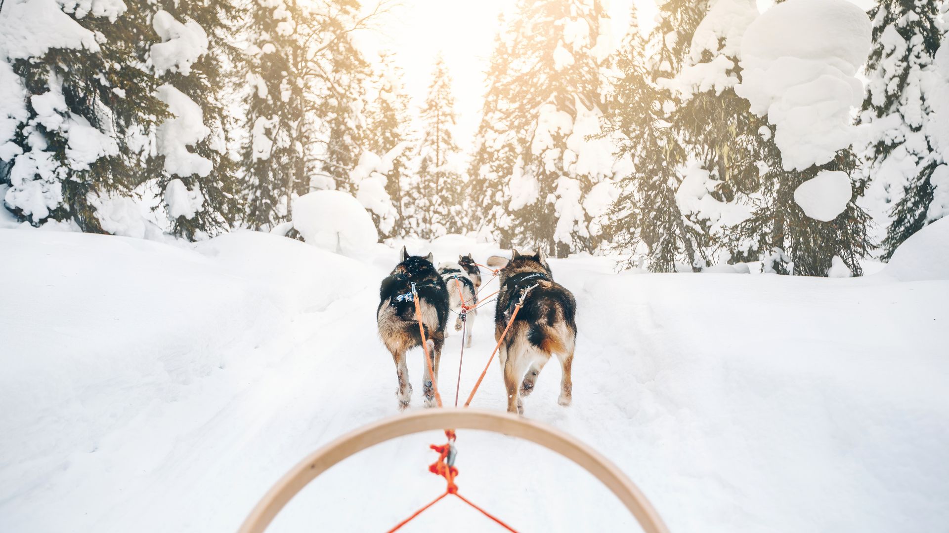 Warm anziehen und los gehts!