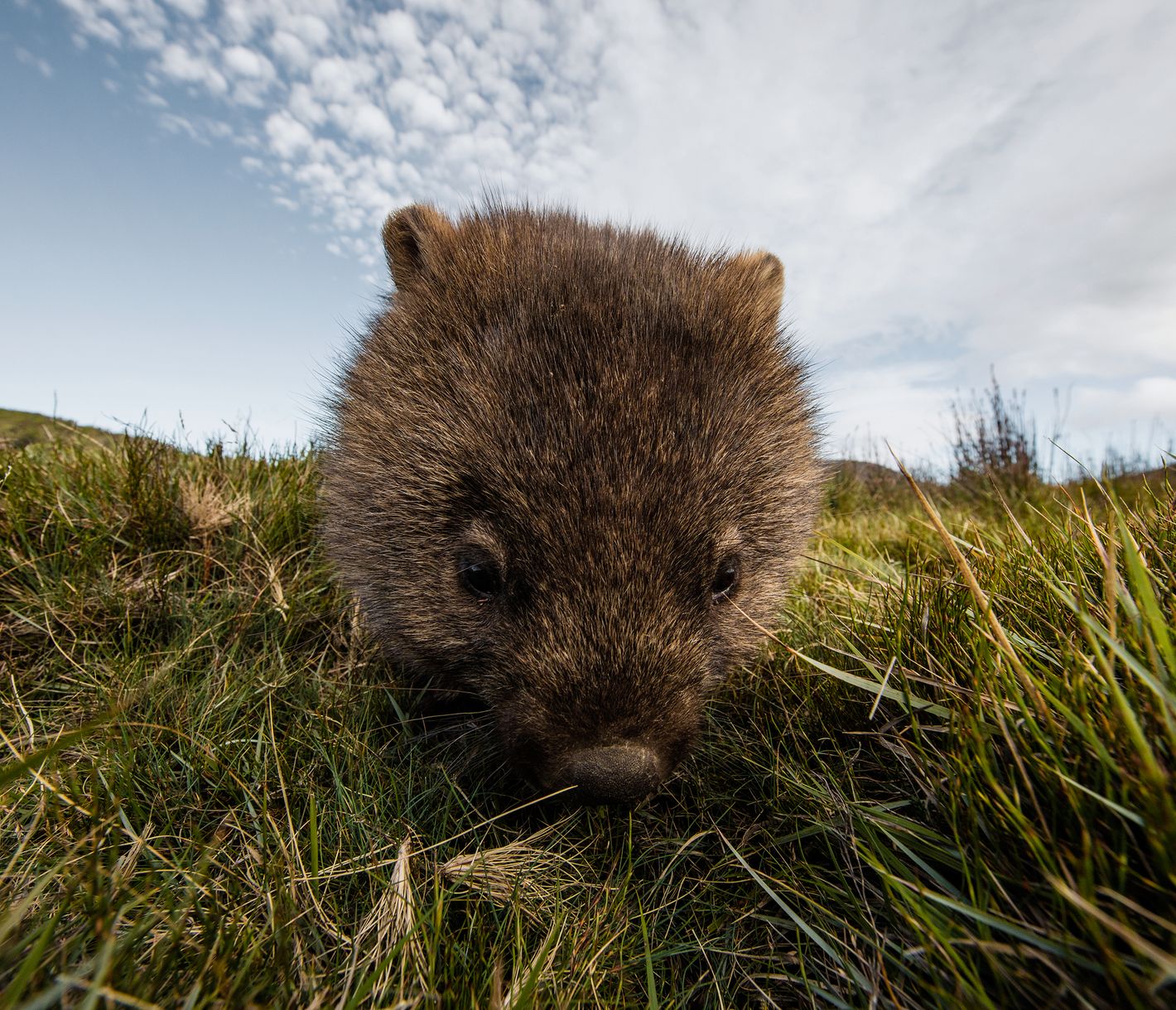 Immer mit der Ruhe...