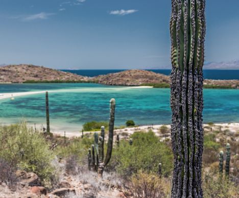 Bienvenue en Baja-California, début d’un road-trip inoubliable hors des sentiers battus
