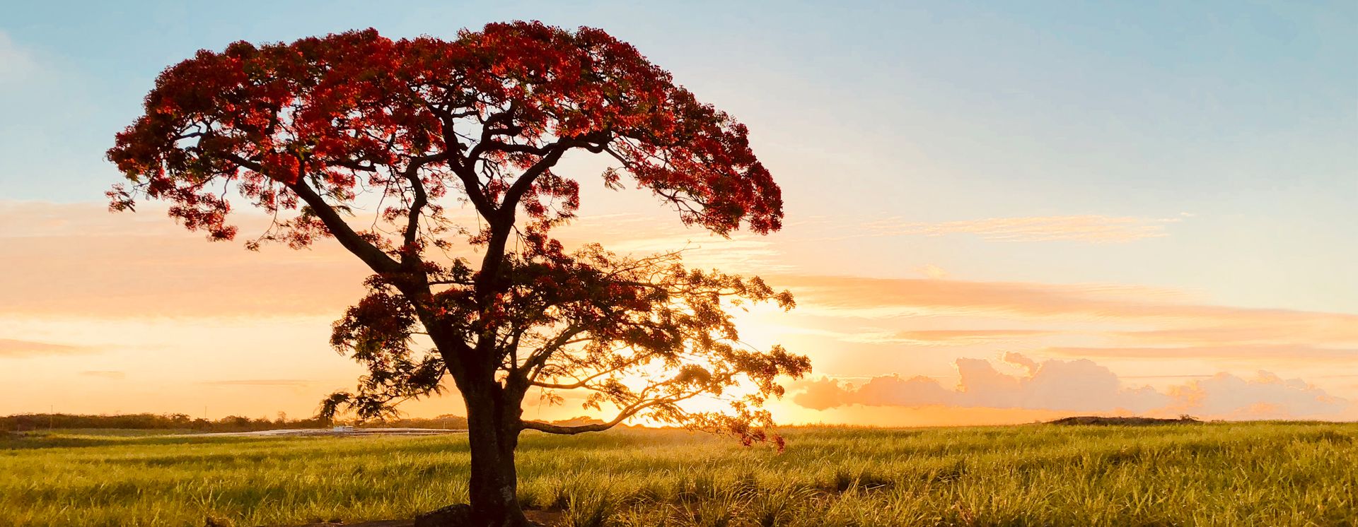 © Mauritius Tourism Promotion Authority